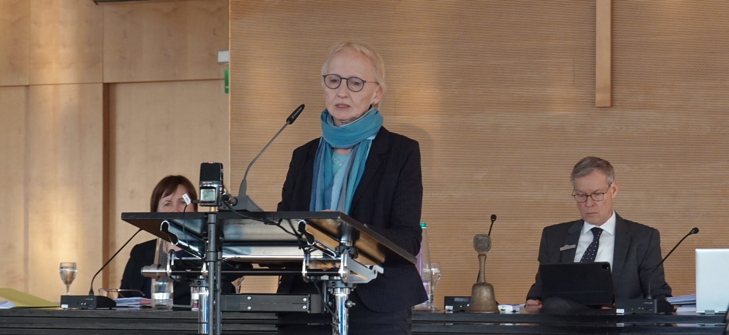 Grüne stimmen Kreishaushalt 2025 zu